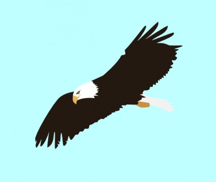 Clipart eagles soaring