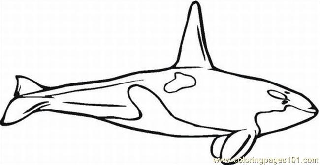 How to Color Free Printable Whale Coloring Pages For Kids - Free ...