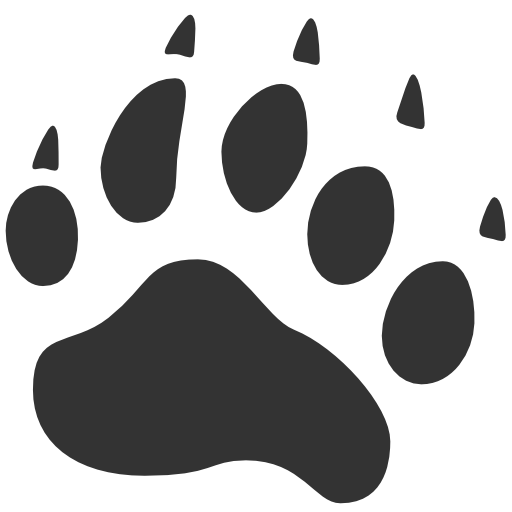 Animals For > Lion Footprint