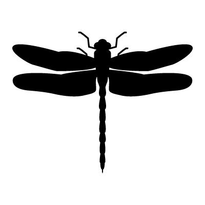 Dragonfly Vector