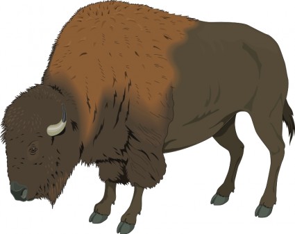 Bison Clipart - Free Clipart Images