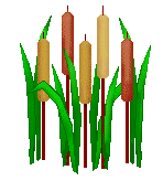 Cattail Clip Art Page 4 - Five Cattails