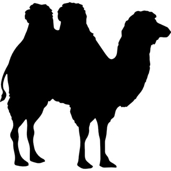 Camel silhouette Icons | Free Download