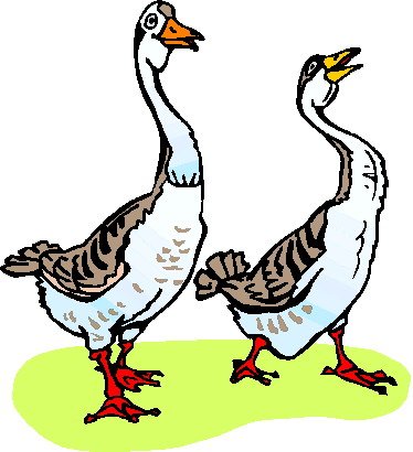 Goose Hunting Clipart
