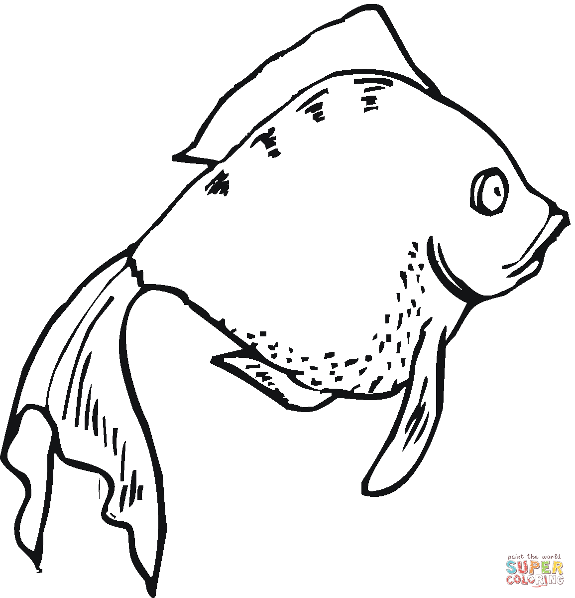 Goldfish 17 coloring page | Free Printable Coloring Pages