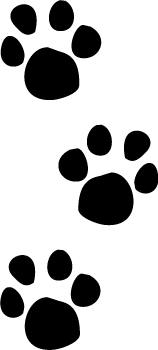 Animal footprint fossil clipart