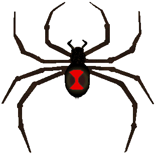 Black Widow Spider Art