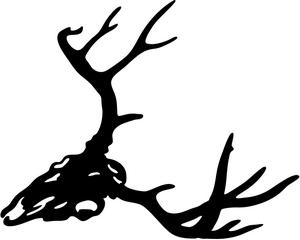 Buck Antlers Skull Decal...