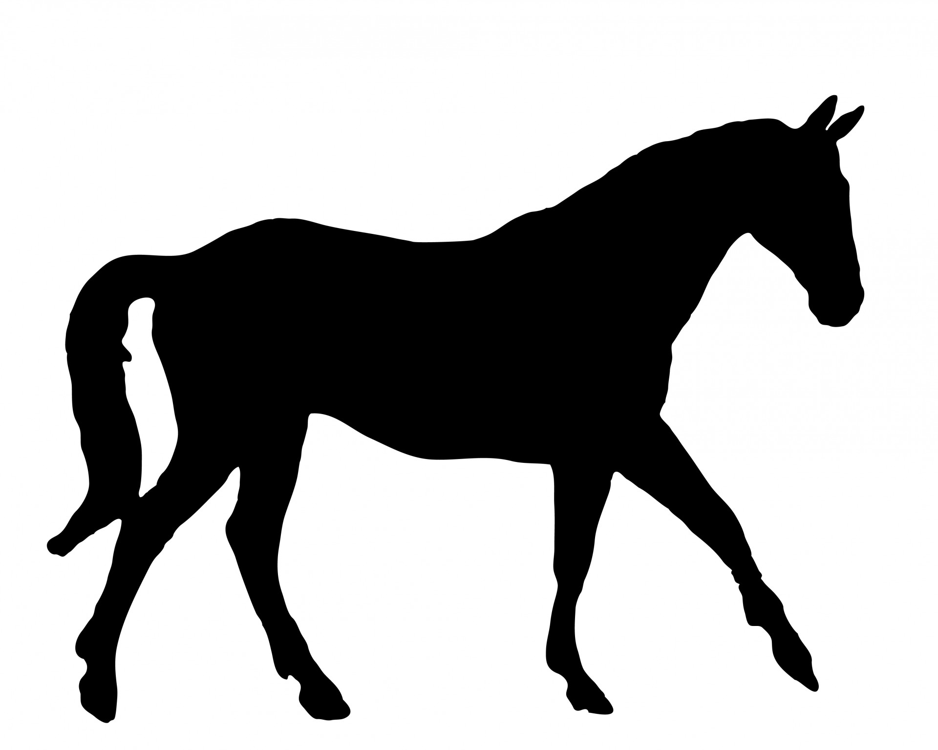 Black Horse Silhouette Images - Public Domain Pictures - Page 1