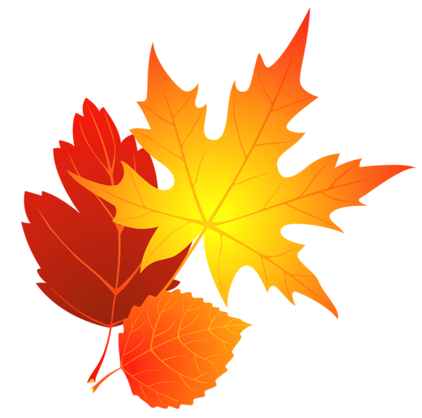 Thanksgiving leaves clipart transparent background