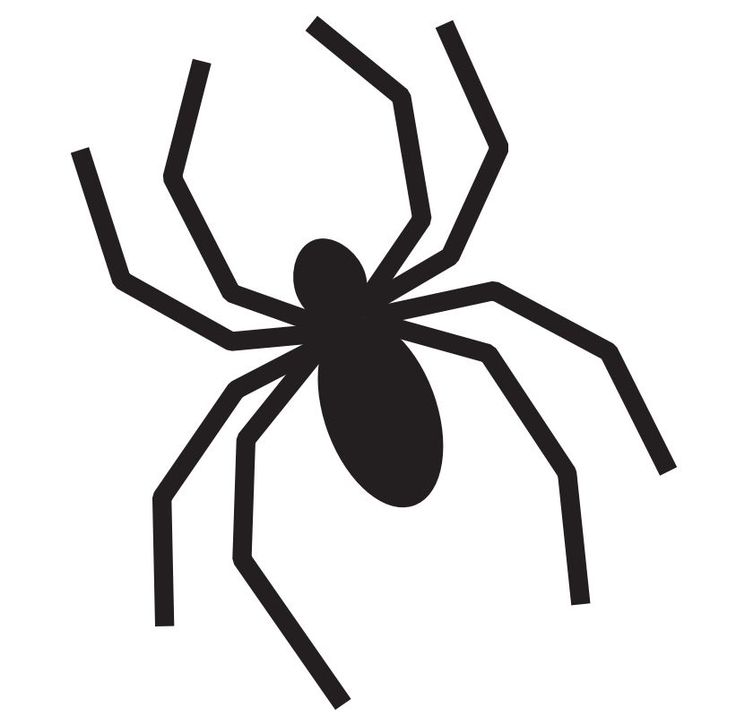1000+ images about Spider stencil