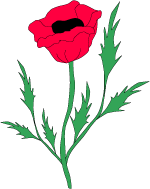 Poppy Flower Clipart