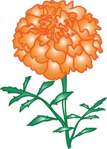 Marigold Clipart - Tumundografico