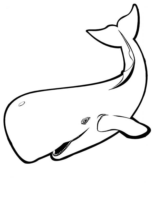 Humpback Whale Coloring Pages Eating Coloring Book Illustration ...