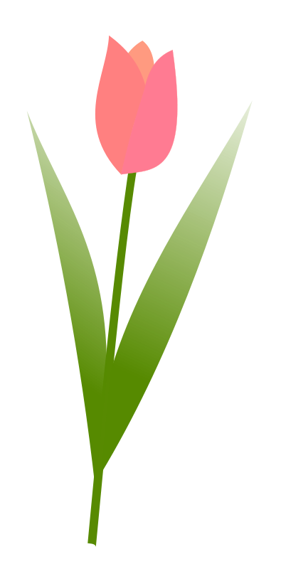 Tulip Free Vector / 4Vector