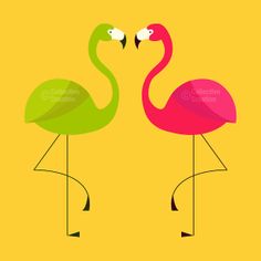 flamingos