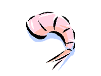 Shrimp clip art download - Clipartix