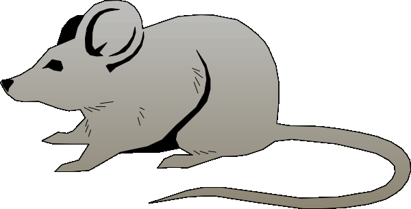 Clipart mouse