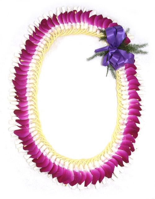 1000+ images about HAWAIIAN LEIS | Vanda orchids ...