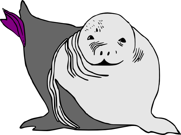 Baby Seal Baby Sea Lion Clip Art - vector clip art ...