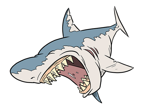 Cartoon Shark Pics