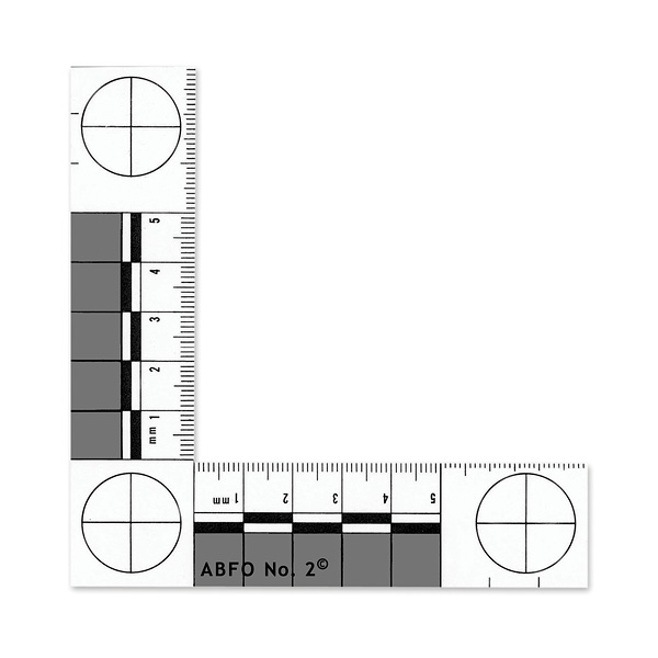 A Matter of Scale | The Metric Maven