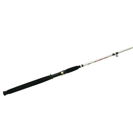 Berkley Big Game Casting Rod - Walmart.com