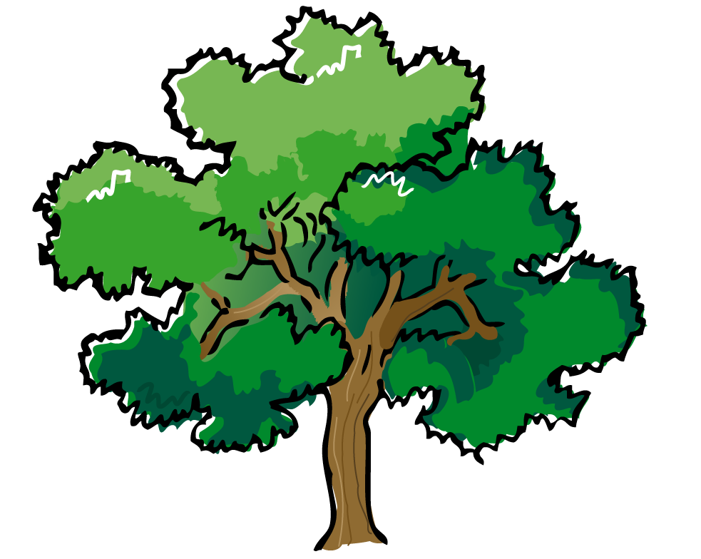 Forest trees clipart