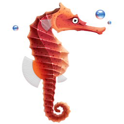 Seahorse Png - Free Icons and PNG Backgrounds