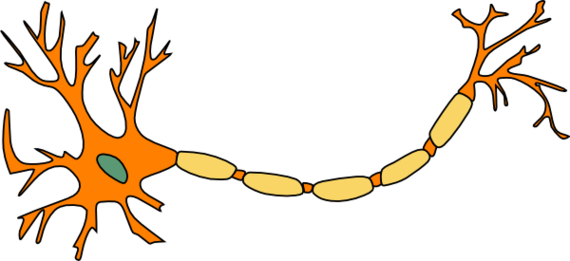 Neuron Cartoon Clipart - Free to use Clip Art Resource