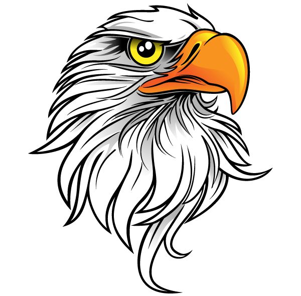 Cartoon Eagle Head Clipart - Cliparts and Others Art Inspiration