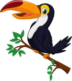 Toucan vector free vector download (34 Free vector) for commercial ...