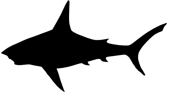 Shark clip art black and white