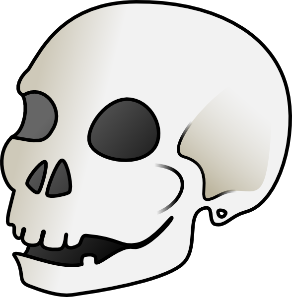 Cartoon Skull Clip Art - vector clip art online ...