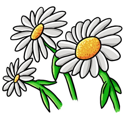 Daisy flower clip art free vector for download about clipartix ...