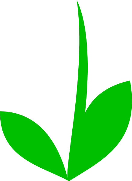 Flower Stem And Leaf Clipart