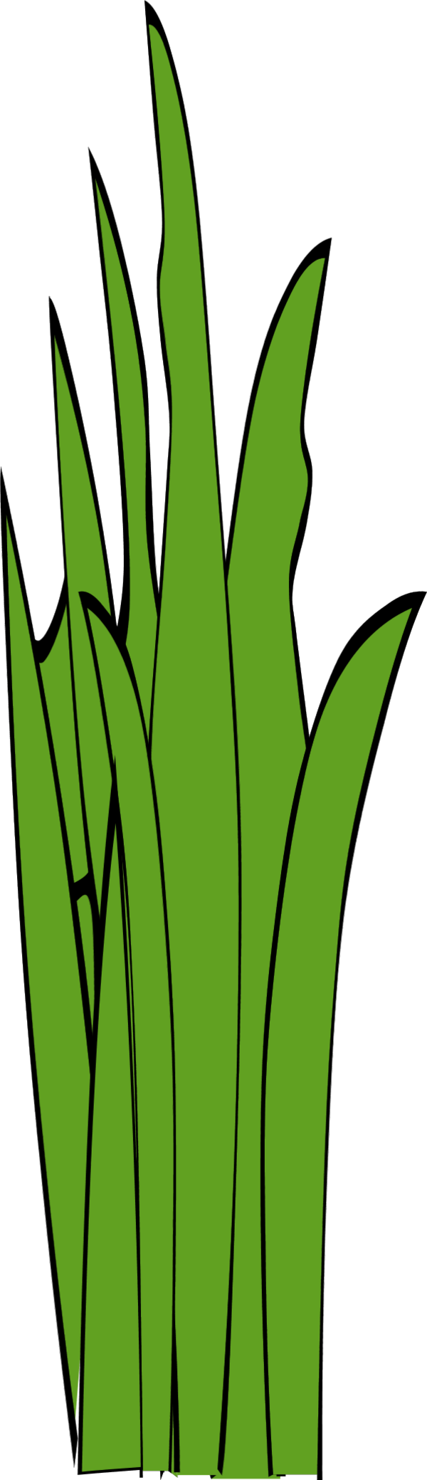 Grass Blades and Clumps 2 - vector Clip Art