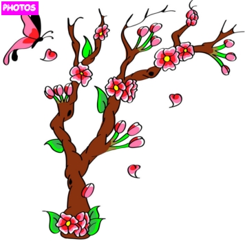 Cherry Blossom Tree Drawing | Cherry Blossom Tree