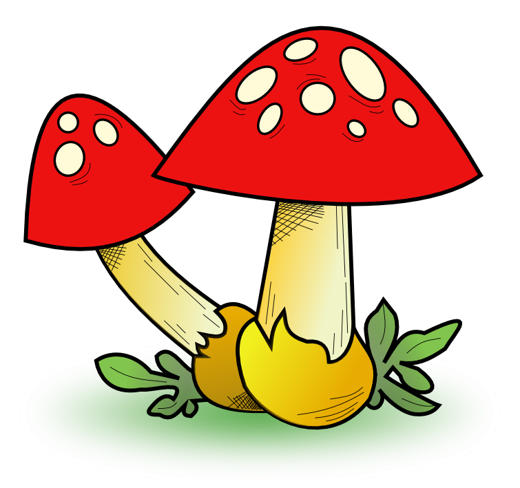 Free mushroom clipart