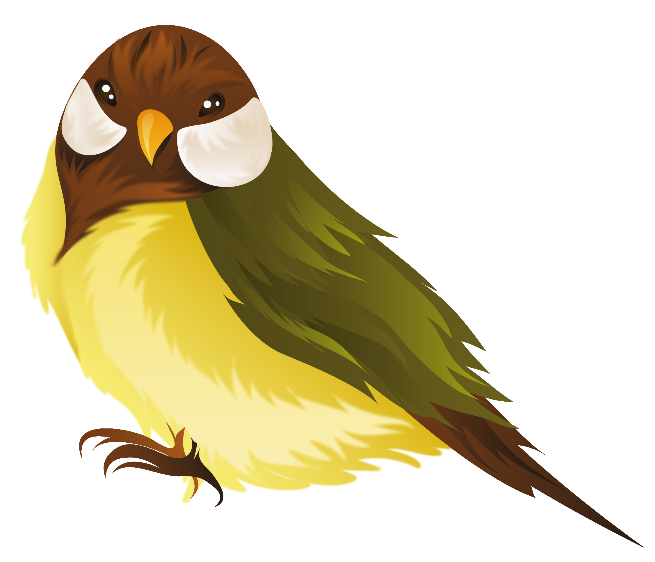 Bird PNG Clipart Image