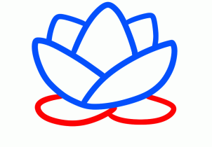 Flowers - How to Draw a Lotus for Kids