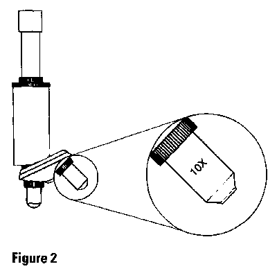 Laboratory Activity #03 - Using a Compound Microscope