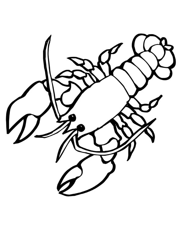 Big Sea Lobster Sea Animals Coloring Page - Free & Printable ...