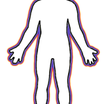 Human Body Outline