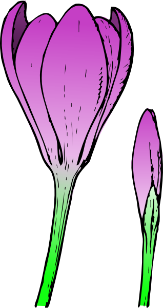 Crocus Flower Clip Art - vector clip art online ...