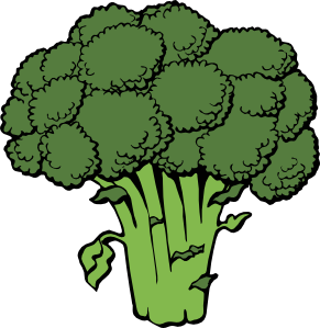 Broccoli clip art - vector clip art online, royalty free & public ...