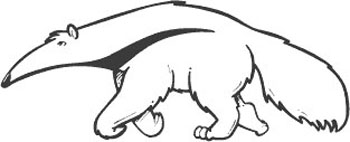 Left-facing-anteater-grey.jpg