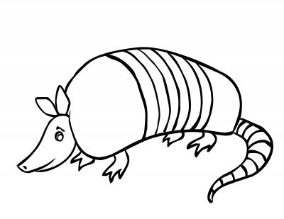 Armadillo Cartoon Pictures - ClipArt Best