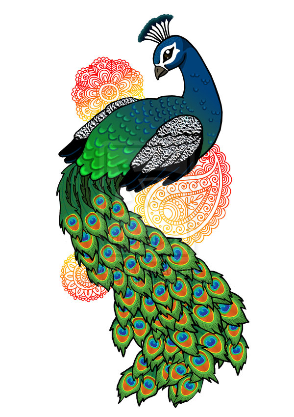 Peacock by dark-lil-soul