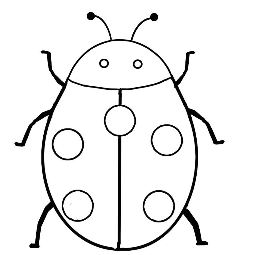 ladybug outline clipart